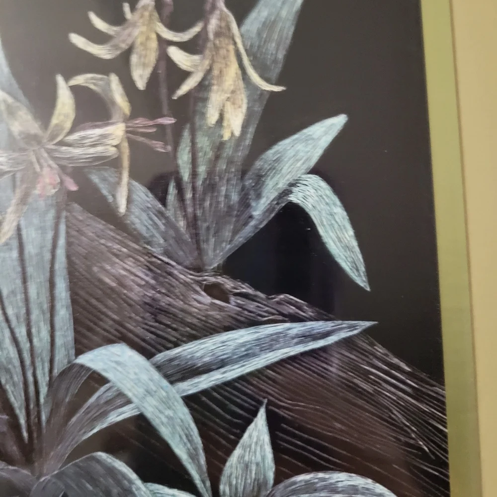 Sally Miller Art Scratchboard Orchids Framed
